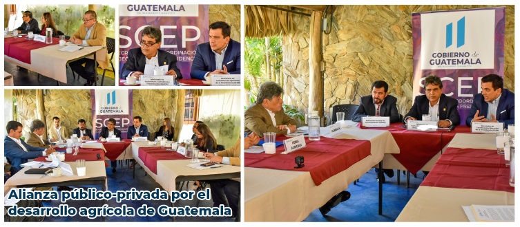 FOTO_BOLETIN_19_2020